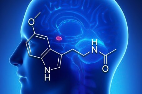 Melatonin Kullanımı COVID-19 Enfeksiyonunu Önlemeye Yardımcı Olabilir