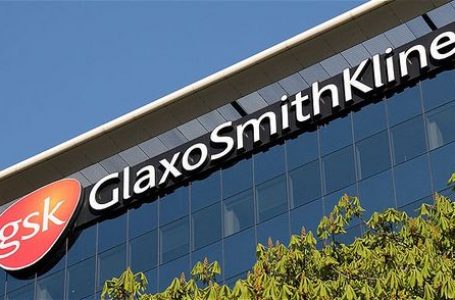 GSK Alt Solunum Yolu Tedavisi için Aşı Programını Başlatıyor