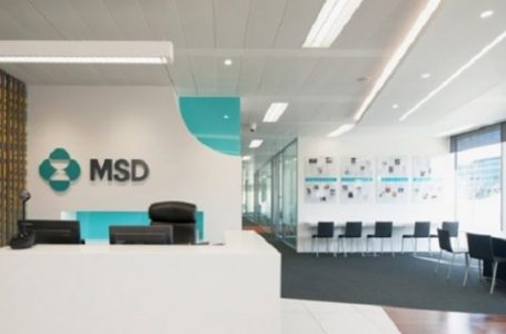 MSD ve Organon Ayrılması Tamamlandı