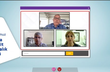 Kronik Hepatit B Hastalığını Önlemek Mümkün