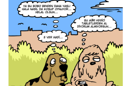 Boehringer Ingelheim Türkiye, Serkan Altuniğne’nin Bobo Karakteri İle Pet Ebeveynlerini Bilgilendiriyor: