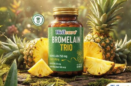 Wellcare’dan Günlük Yaşama Denge ve Işıltı Katan İki Yeni Destek